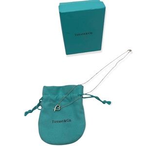 Tiffany & Co. Paloma Picasso Necklace